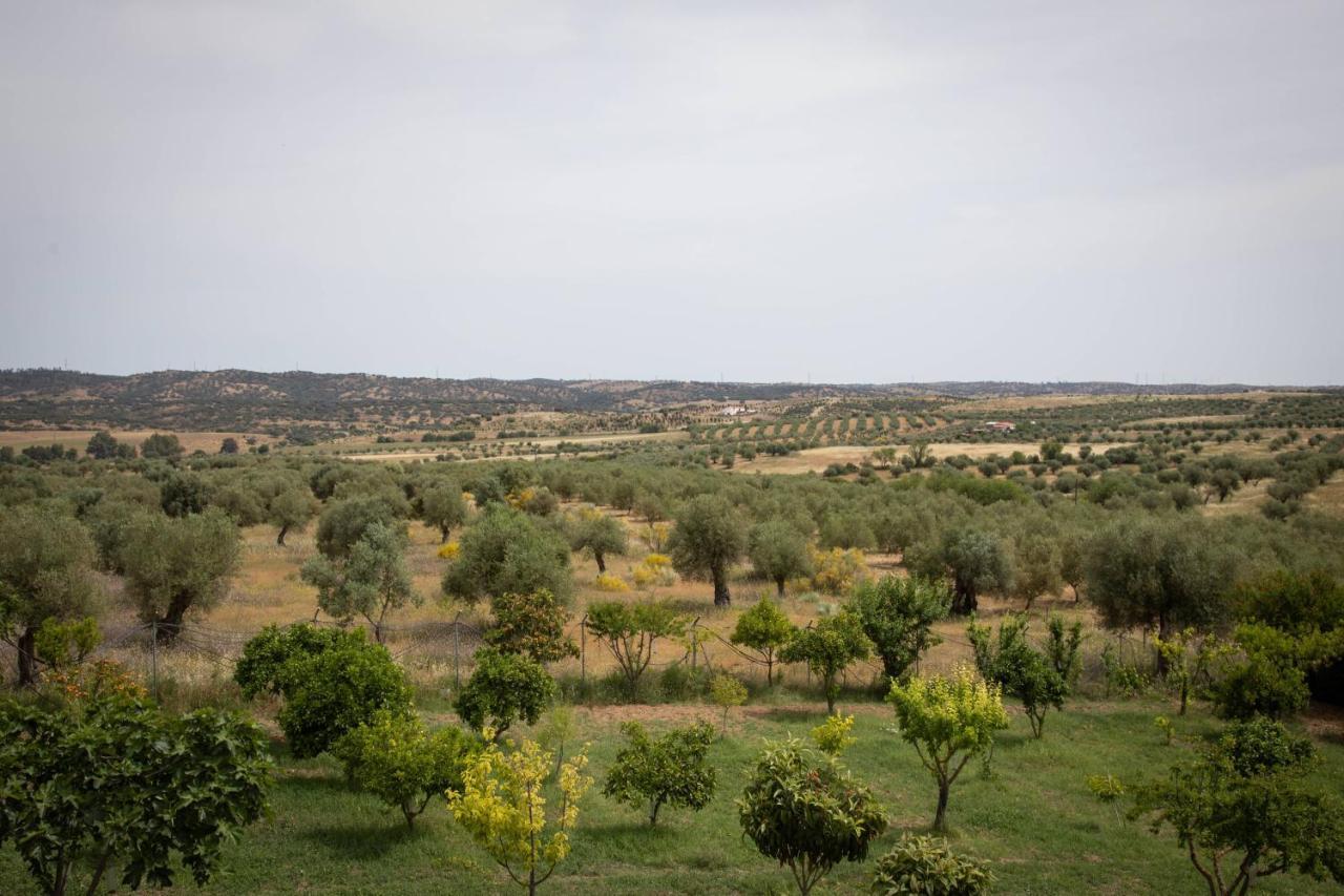 מורה Passo Do Lobo - Turismo Rural מראה חיצוני תמונה